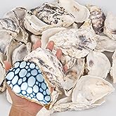 15PCS Oyster Shells 4"-5" Concave Oyster Shells for Crafts Natural Oyster Shells Bulk, for Home Vase Filler, Xmas Ornaments, DIY Arts and Crafts Sea Shells