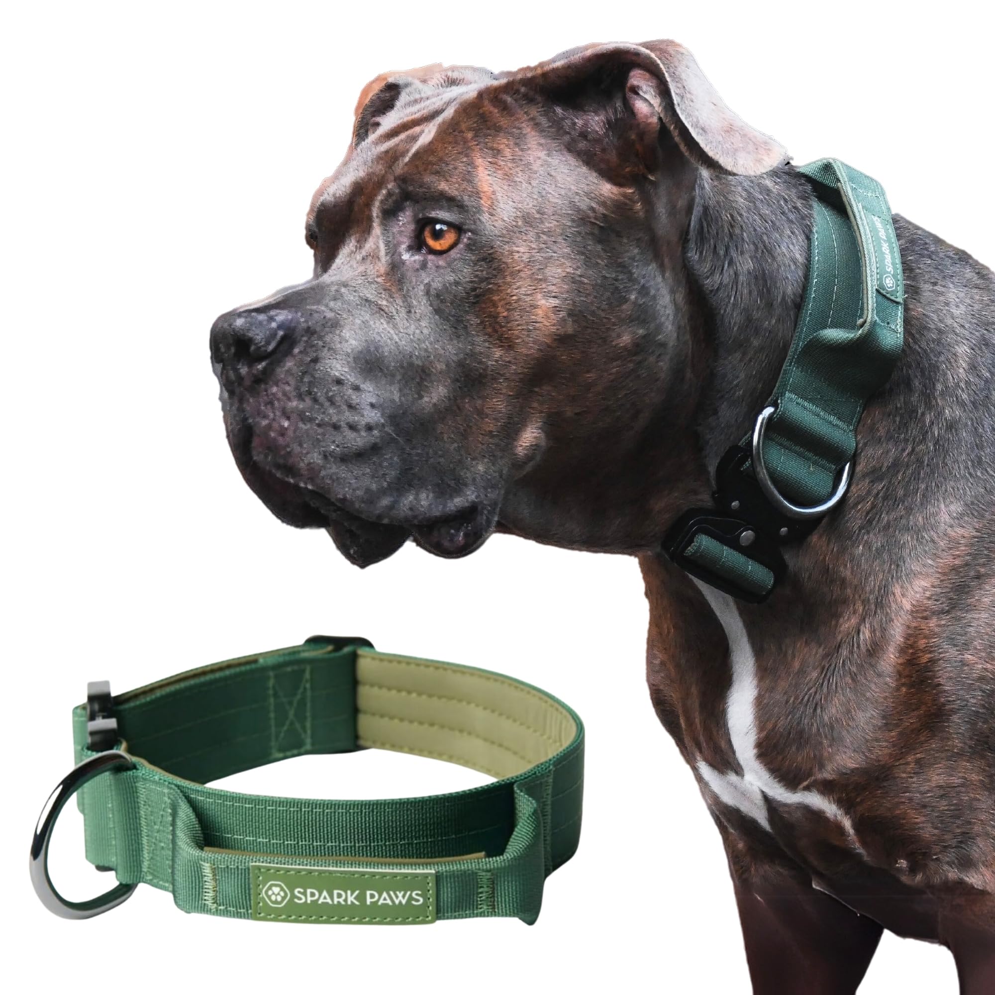 Spark Paws Tactical Dog Collar - Premium Quality Collar, Robust and Durable Design for Large, Strong Breeds - Pitbulls, Boxers - Army Green, M