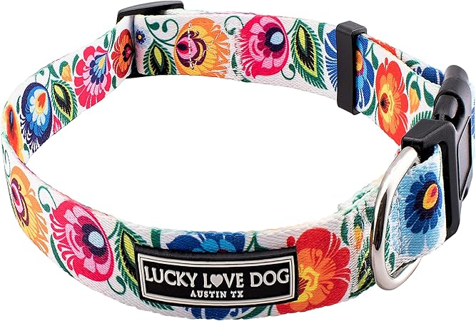 dog collars for girl