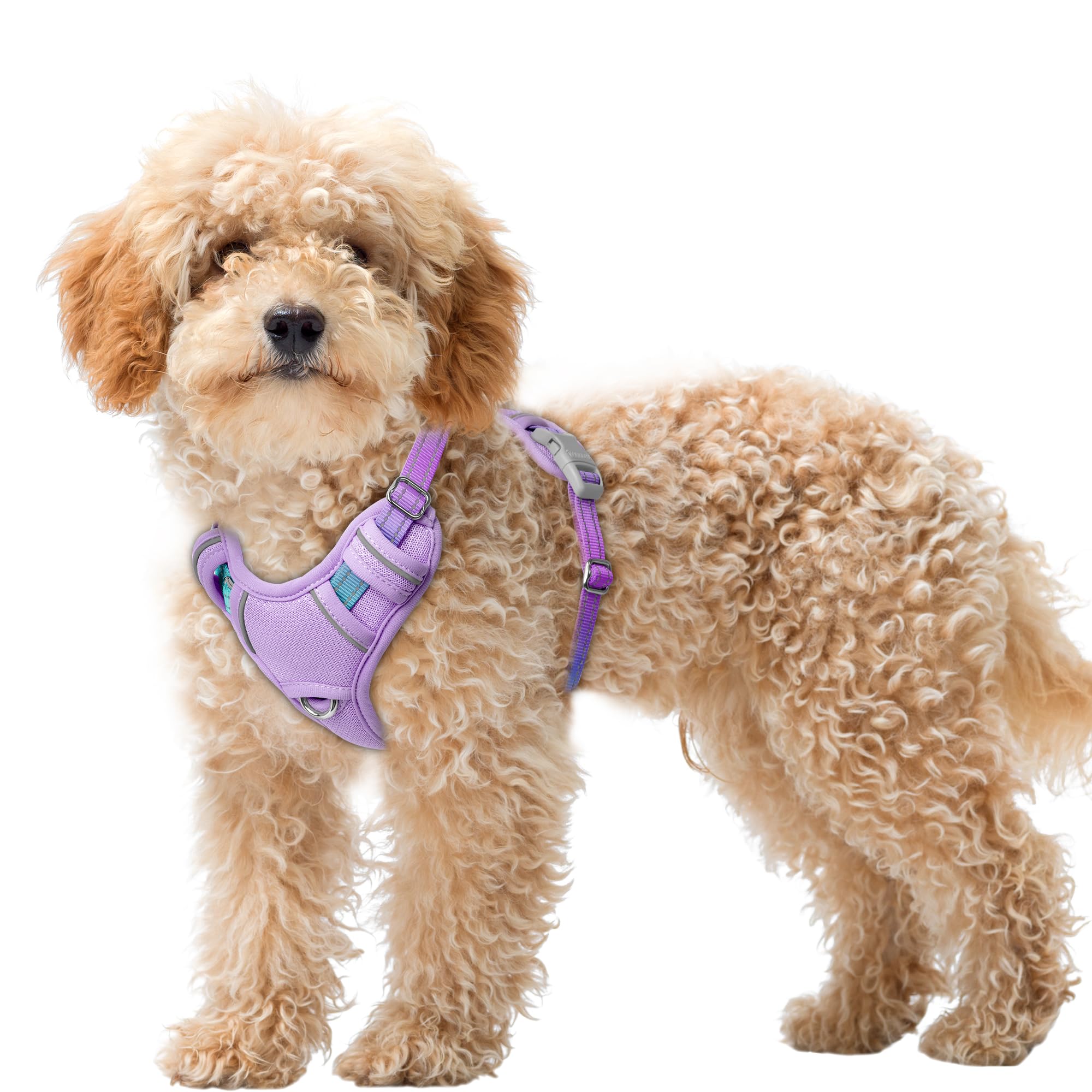 BARKBAY No Pull Dog Harness Large Reflective Dog Harness with Front Clip and Easy Control Handle for Walking Training Running with ID tag Pocket(Lavender Sky,XS) Image