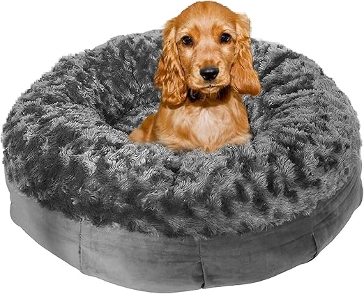new dog bed