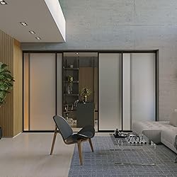 Doors 55 Glass Room Divider Panel and Partition