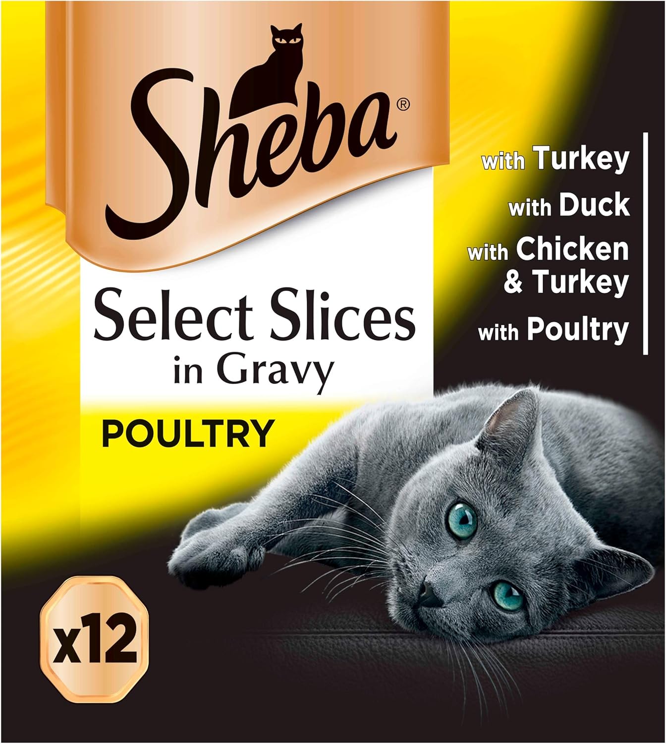 sheba cat food amazon