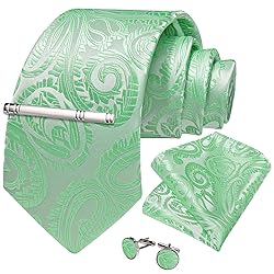 DiBanGu Silk Paisley Ties for Men Woven Necktie and