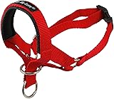 Dog Head Collar Halter Red 6 Sizes