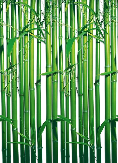 Amazon Com Brewster Dm421 Bambu Repetible Pared Mural Dm421