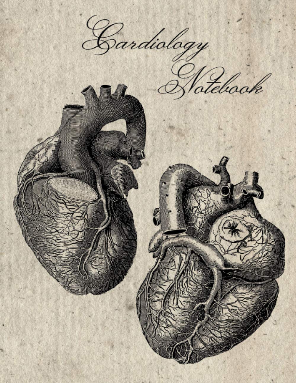 Cardiology Notebook: Vintage Anatomy - Heart, 8.5"x11", 100 College Ruled Pages, Matte Cover