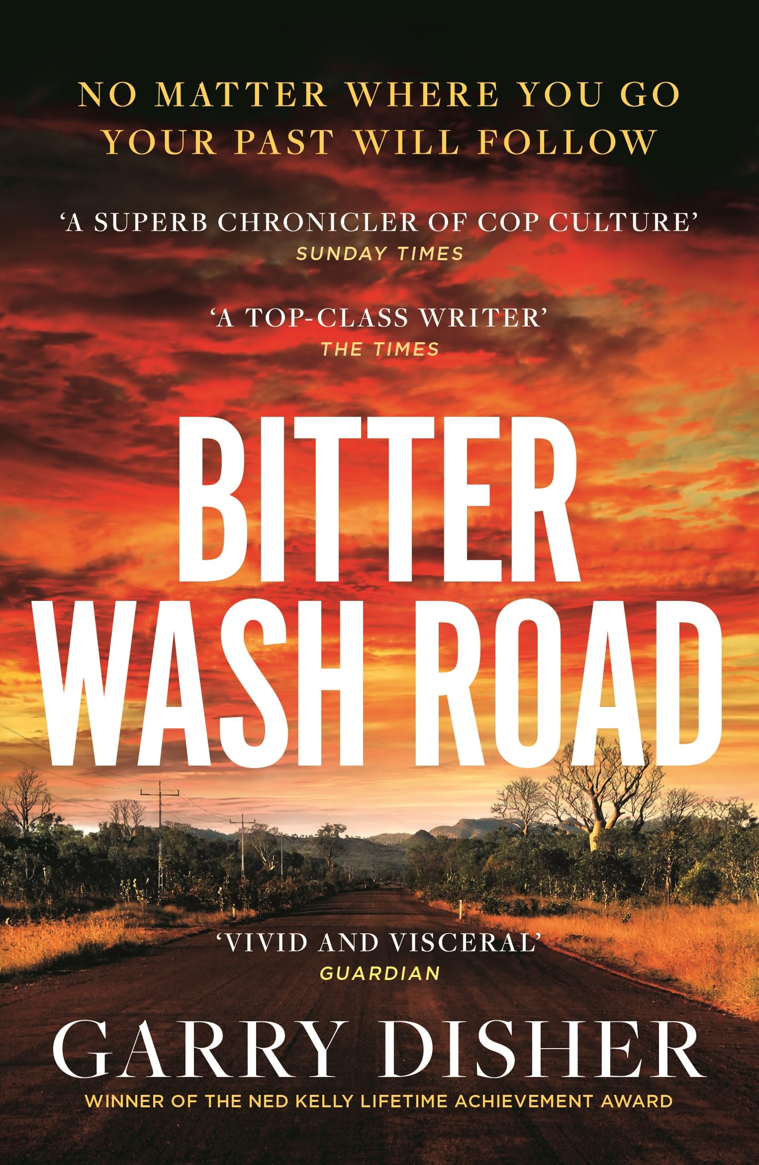 Bitter Wash Road: Constable Hirsch Mysteries 1 (The Paul Hirsch mysteries)