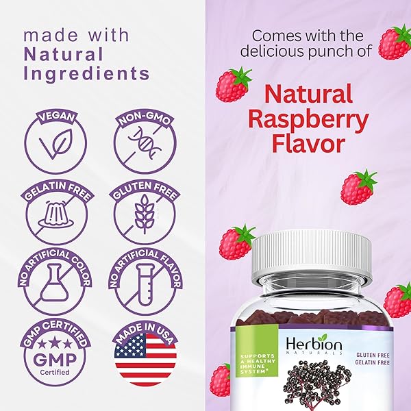 HERBION ELDERBERRY GUMMIES WITH VITAMIN C & ZINC – HEALTHY IMMUNE SYSTEM SUPPORT – GLUTEN-FREE & GELATIN-FREE – 60 GUMMIES FOR ADULTS & CHILDREN 4 YEARS & ABOVE – MADE IN USA, 60 COUNT (PACK OF 1)