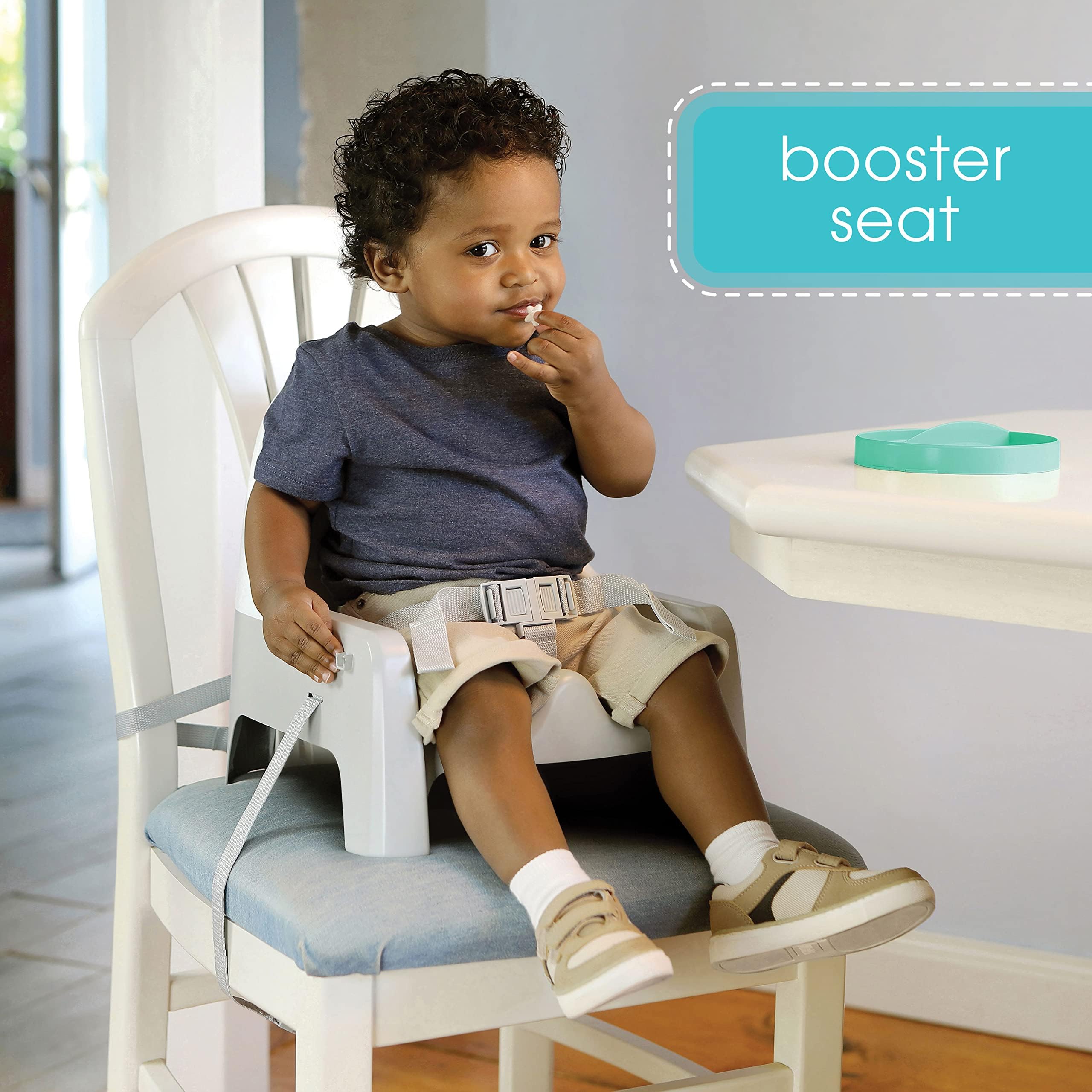 Ingenuity Deluxe Learn-to-Dine Feeding Seat – Infant and Toddler Feeding Chair and Booster Seat with Tray and 2 Snap-in Plates