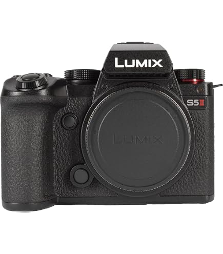 Amazon.com : Panasonic LUMIX S5IIX Mirrorless Camera, 24.2MP Full