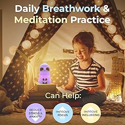 Mindsight 'Breathing Buddha' Guided Visual