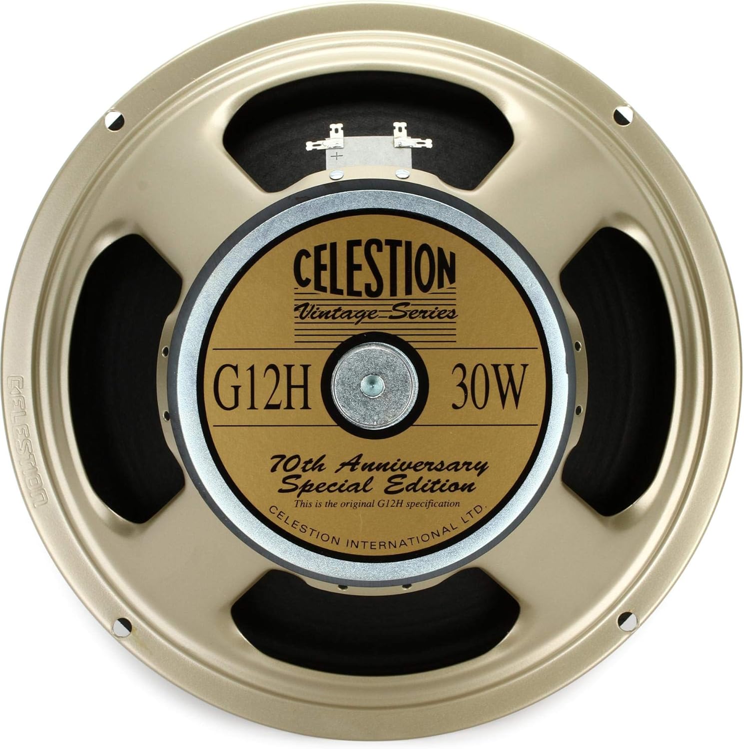 celestion 8 inch guitar speaker