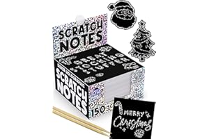 Purple Ladybug Silver Holographic Scratch Art Mini Notes - Scratch Art Notes Kids Games, Girls Stocking Stuffers for Kids, Teens, Boys, Christmas Gifts for Kid Arts & Crafts Supplies