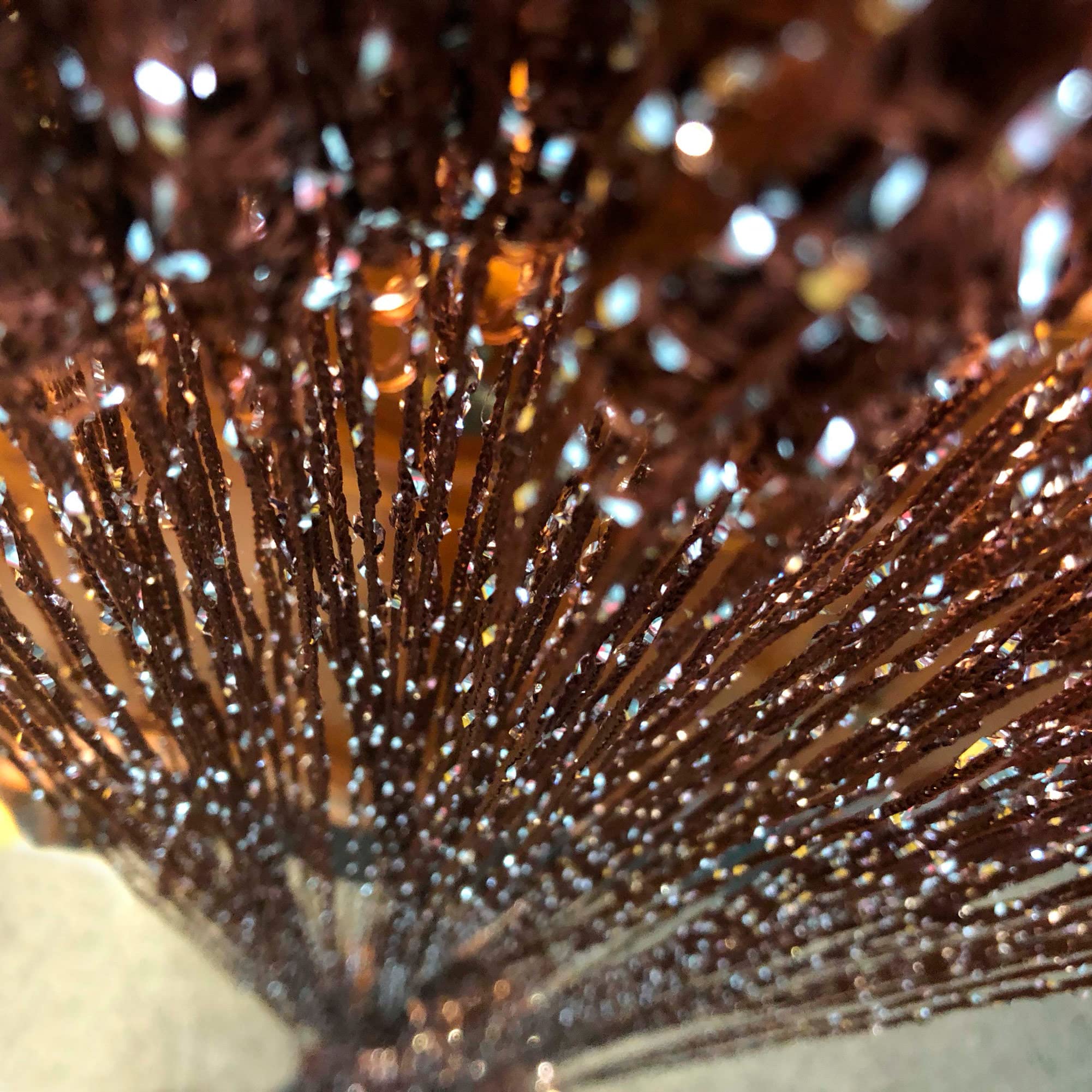 Vagasi 2 Pack Beaded Curtains String 100x200 cm Beaded Curtains for Doorways Tassel Glitter String Curtains Room Dividers Curtain Hippie Room Décor for Living Room, Bedroom, Closet, Party