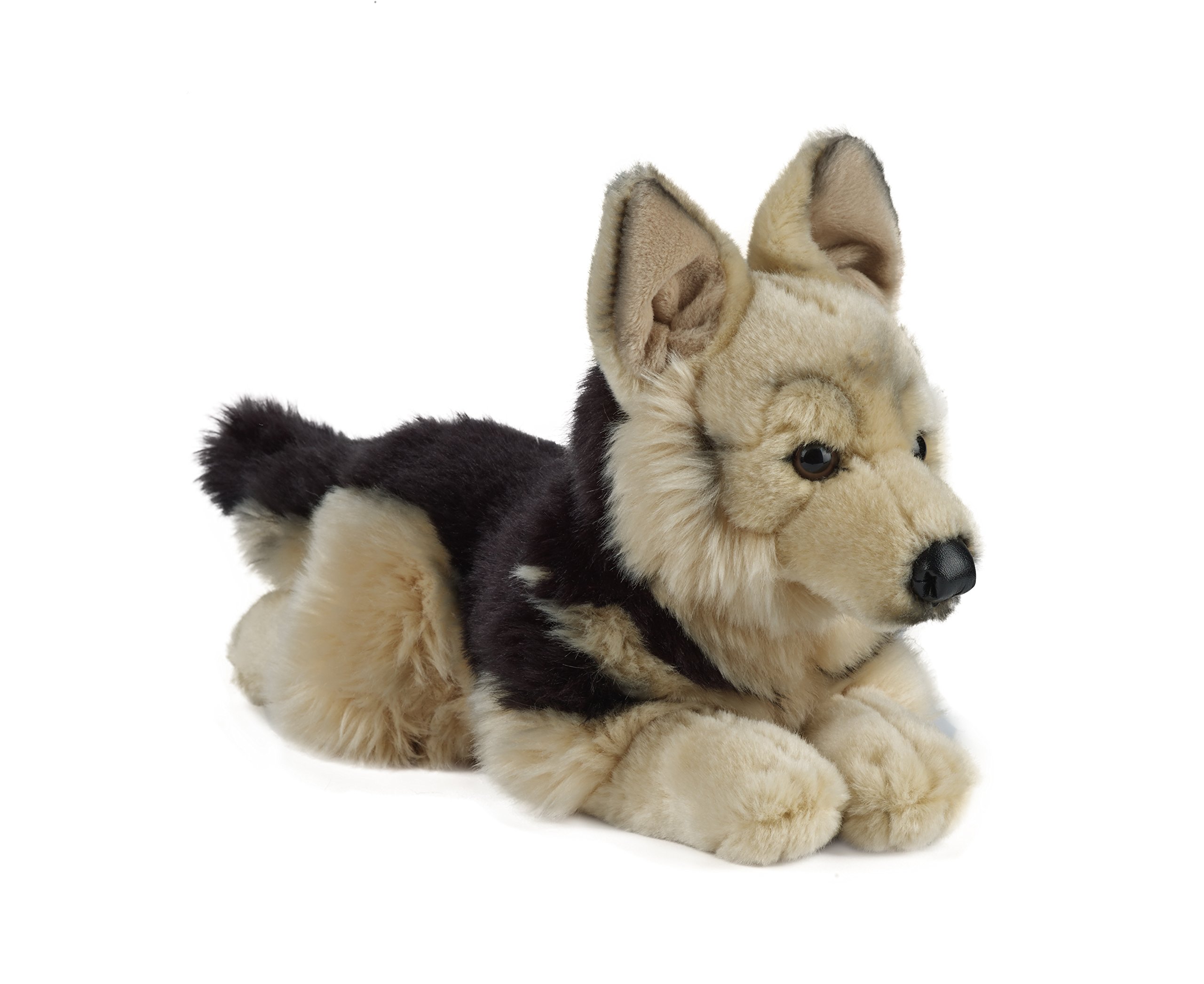 alsatian teddy