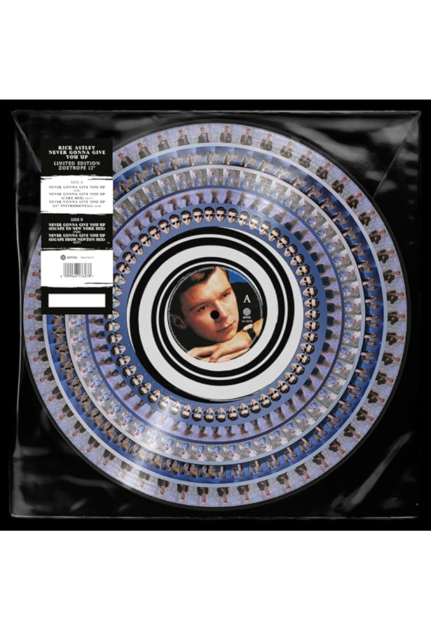 Amazon.com: Never gonna give you up (US, 1987) / Vinyl Maxi Single