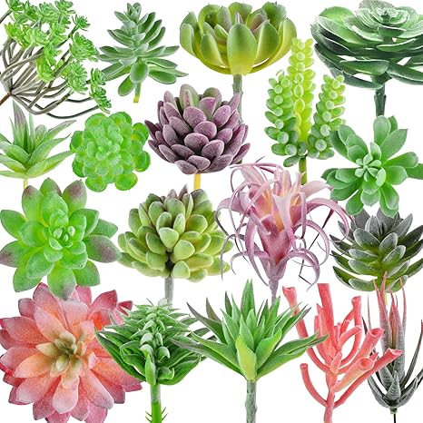 Amazon Com Dandevo 18 Pcs Faux Succulents Unpotted Artificial Succulents Bulk Plastic Succulent Plants Realistic Silk Fake Succulents Unpotted Stems Picks Assorted Plant For Crafts Home Decor Home Kitchen