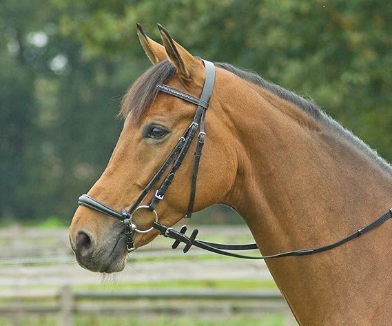 Busse Trense ALLROUND-Hannover