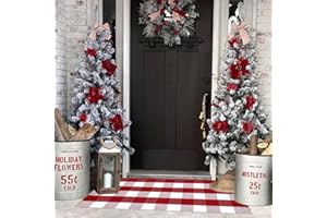 BOTTALIVE Christmas Plaid Outdoor Rug, 2'x4'3'' Red&White Check Indoor/Outdoor Area Rug, Layering Rug for Hello/Welcome Door Mat, Machine Washable Cotton Woven Rug for Farmhouse Front Porch, Entryway