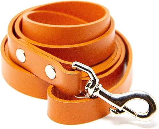 logical leather dog leash
