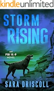 kindle best category lists