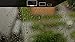 Peaceful Rain HD
