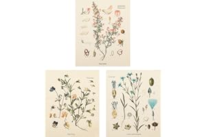 Lourny 3Pcs Flower Tapestry Wall Hanging - Wildflower Plant Floral Fruit Tapestry Butterfly Botanical Small Tapestries for Be