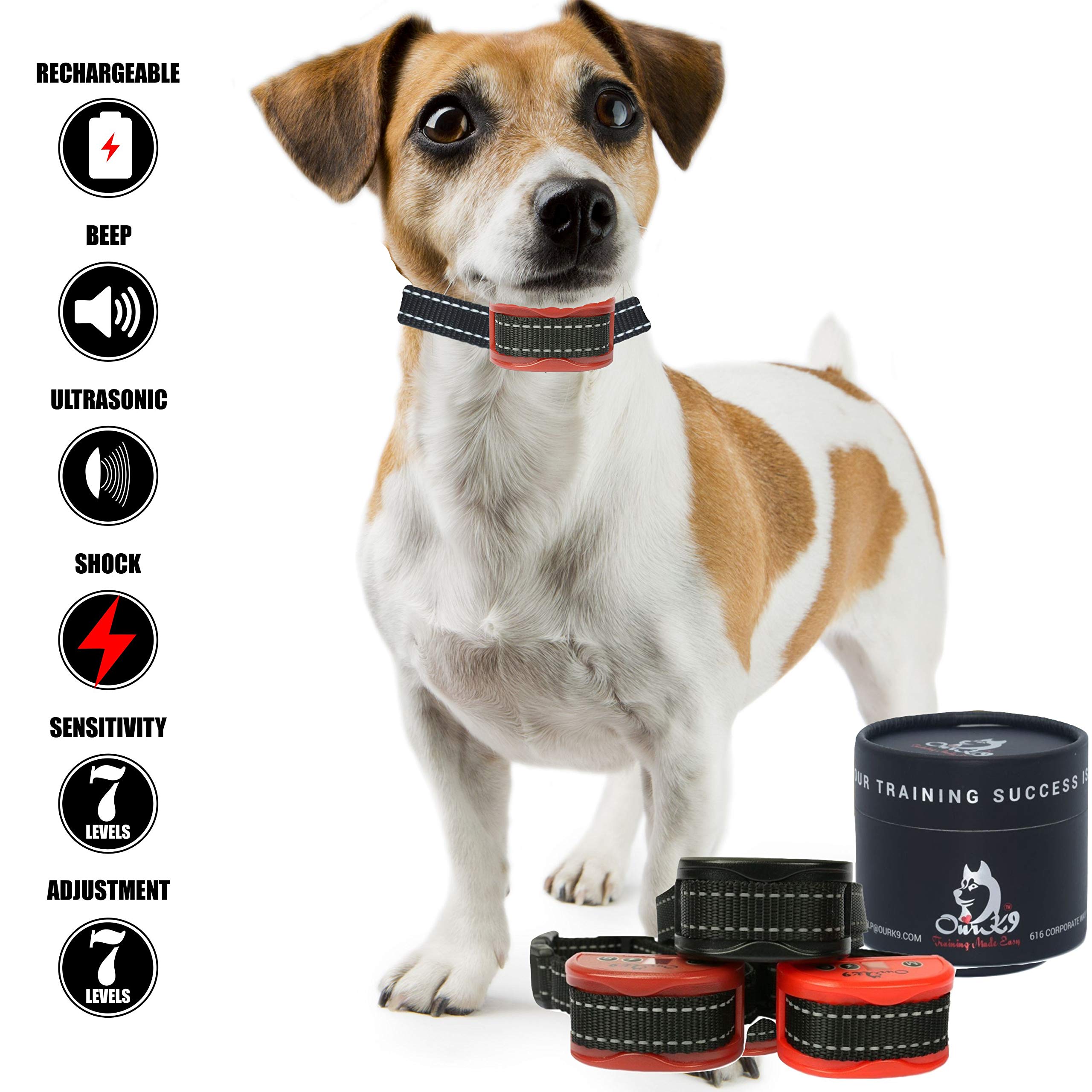 training collar for dogs under 10 pounds
