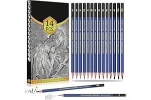 Daerthotk Pro Pencils Drawing Sketching Set 14 pcs Graphite (12B - 6H) Kit Soft Pencils Ideal Gift for Drawing Art, Sketching, Shading, Artist Pencils for Beginners Pro Artis