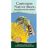 Common Native Bees of the Eastern United States: Your Way to Easily Identify Bees and Look-Alikes (Adventure Quick Guides)