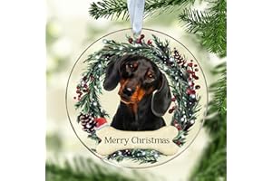 PAWZITY Dachshund Christmas Ornaments - Dachshund Ornament - Dachshund Gifts for Women - Wiener Dog Gifts for Women - Dog Christmas Ornaments - Dog Ornament for Christmas 2023 - Acrylic Ornament 2023