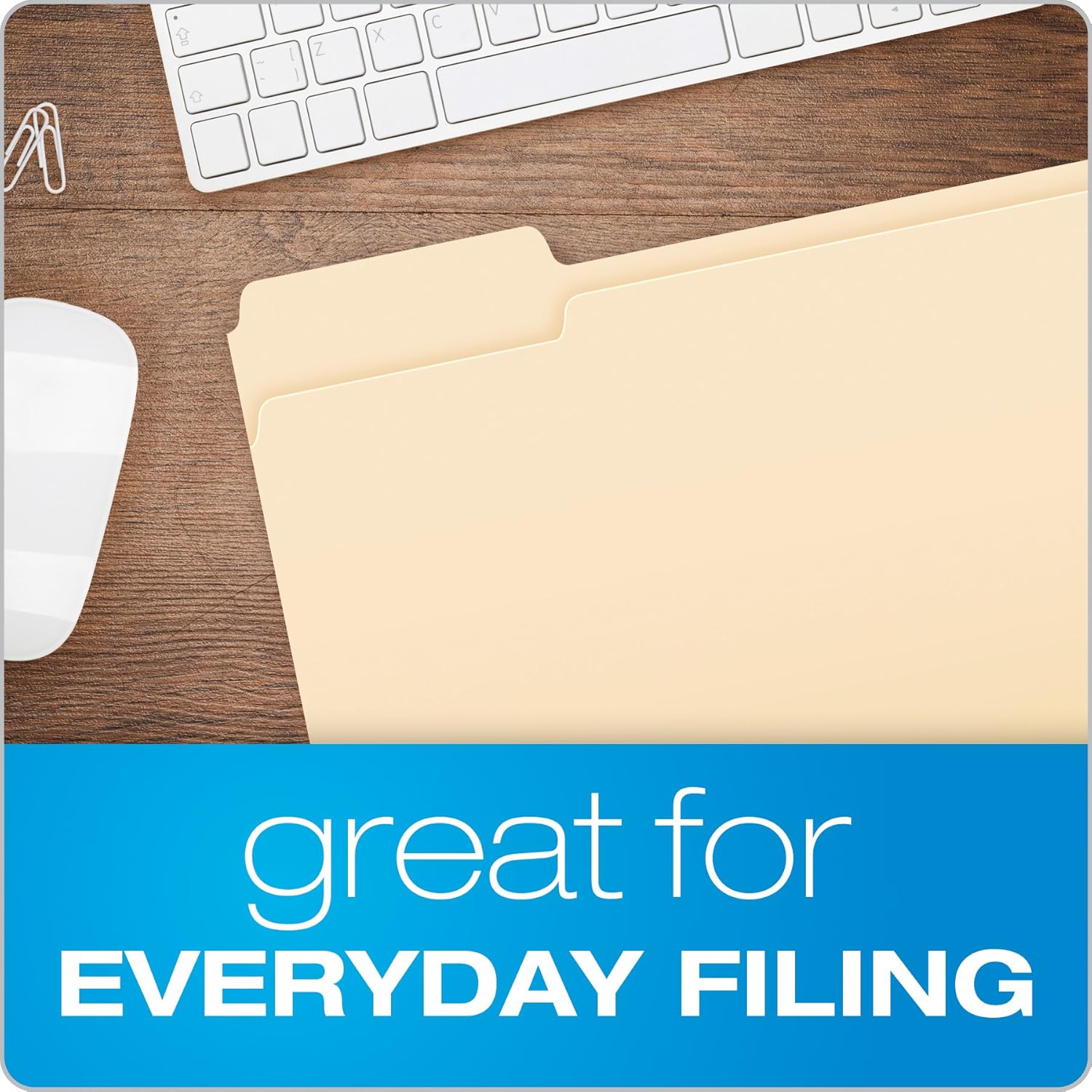 Pendaflex File Folders, Letter Size, 1/3 Cut, Manila, 100 per Box (752 1/3): Office Products