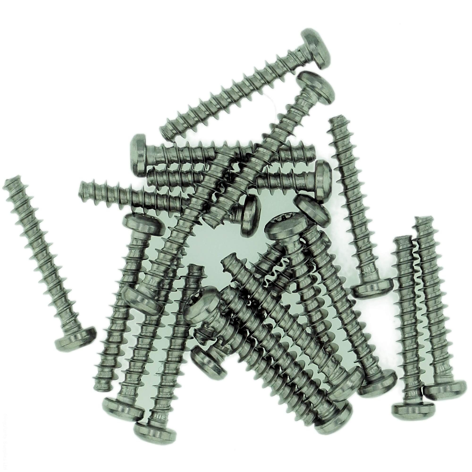 D4 (4mm x 14mm) TX Pan Screws for Plastic - Stainless Steel (A2) (Pack of 20)