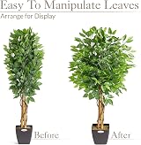 CHRISTOW Artificial Ficus Tree 4ft with PEVA Leaves Natural Trunk view 6