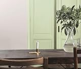 Dulux Quick Dry Satinwood Paint Wood Metal Willow Tree 750Ml No Undercoat view 5