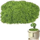 FAICOIA Fake Moss for Crafts 5.5OZ Faux Moss for Plants Indoor Artificial Green Moss for Decorating Faux Grass for Planters Crafts DIY Table Centerpieces Fairy Garden Floral Wedding Decor 150g
