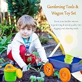 Delex Pull Along Kids Wagon Wheelbarrow Gardening Beach Play Set 10 Accessories view 8