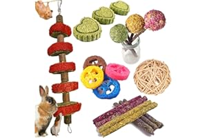 Kunze Land 10 Pcs Guinea Pig Toys Rabbit Toys, Natural Organic Apple Wood Sticks with Timothy Hay Balls Grass Cakes Loofah Rabbit Chew Toys Teeth Care