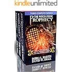 Witch Stone Prophecy Boxed Set, Epic Fantasy Adventure (Books 1-3) (The Witch Stone Prophecy)