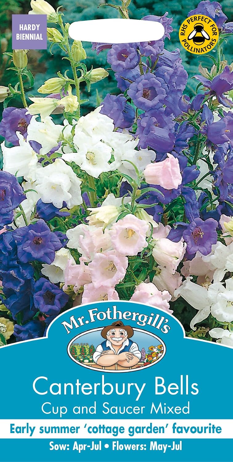 Mr Fothergill?s Seeds Ltd 11999 Mr Fothergill's Seeds Ltd Canterbury Bells Cup & Saucer Mixed,75 cm