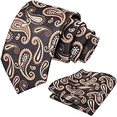 Alizeal Mens Colorful Paisley Necktie and Pocket Square Sets
