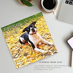July 2025- December 2026 American Stafford Terrier