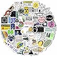 Physics Stickers for Water Bottle and Laptop - Science Party Favors & Decorations, Waterproof Vinyl Educational Decals, Physics Formulas and Concepts Stickers Laptop Decals