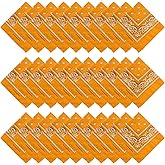 Tergy 16-30 Pieces Unisex Paisley Bandanas Bulk Multi-Purpose Headband Cowboy Head Wrap Scarf for Women Men Boys Girls