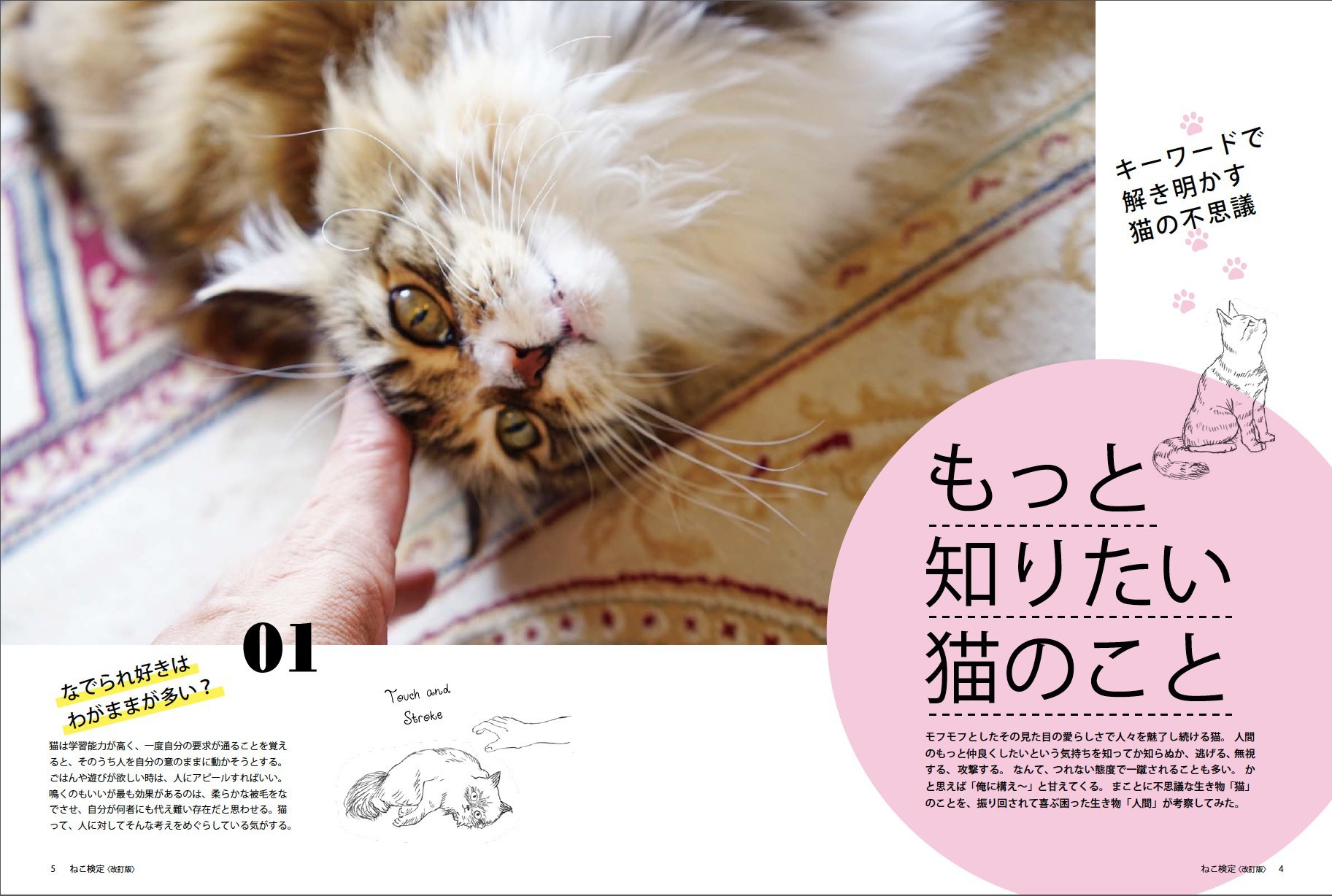 Cat Test Official Guide Book Rev 廣済堂 Besutomukku 370 Amazon Com Books Cat Test Official Guide Book Rev 廣済堂 Besutomukku 370 Amazon Com Books