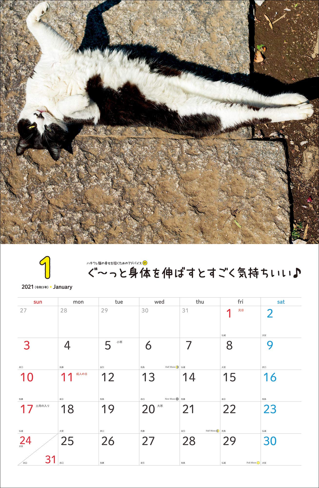 Amazon Co Jp 21 幸せを招くハチワレ猫カレンダー カレンダー 沖 昌之 本