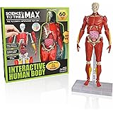 Be Amazing! Toys Interactive Human Body - 60 Piece Fully Poseable Anatomy Figure – 14” Tall Model - Anatomy Kit – Removable M