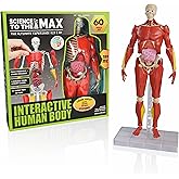 Be Amazing! Toys Interactive Human Body - 60 Piece Fully Poseable Anatomy Figure – 14” Tall Model - Anatomy Kit – Removable Muscles, Organs,Bones STEM Toy – Ages 8+