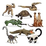 Toymany 11PCS Madagascar Jungle Animals Figurines